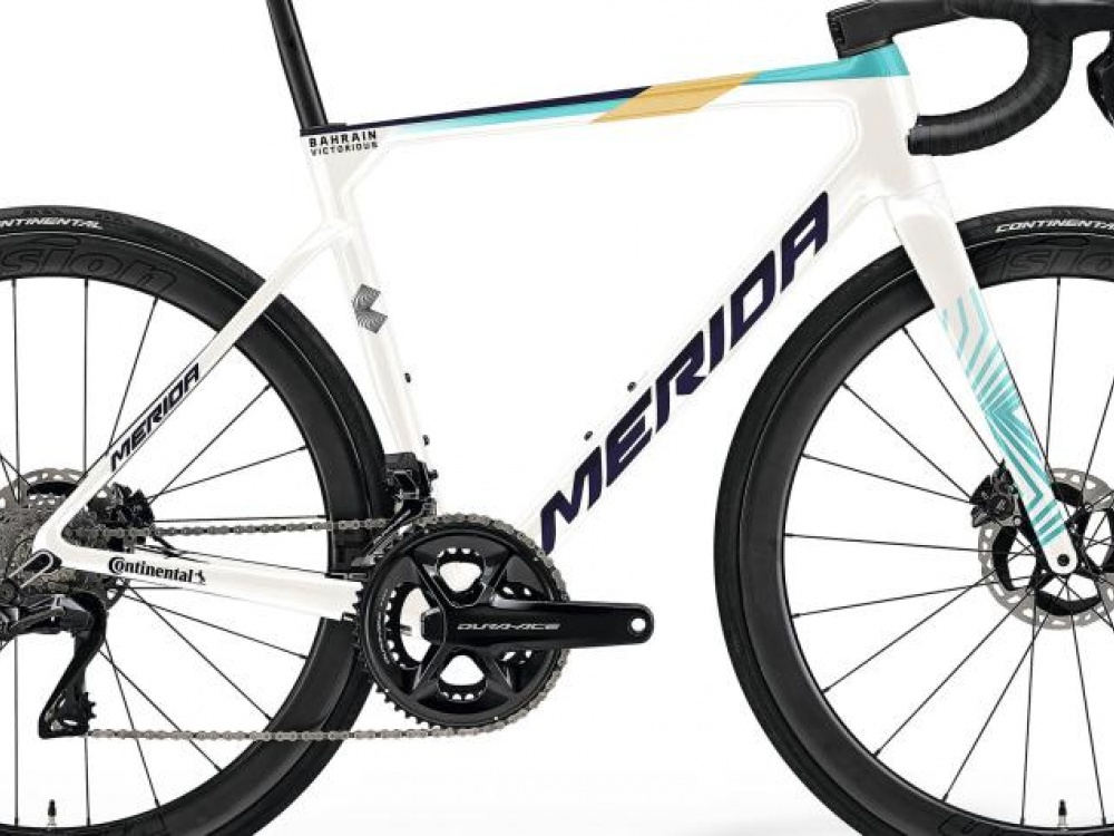 RIVENDITORE MERIDA PADOVA